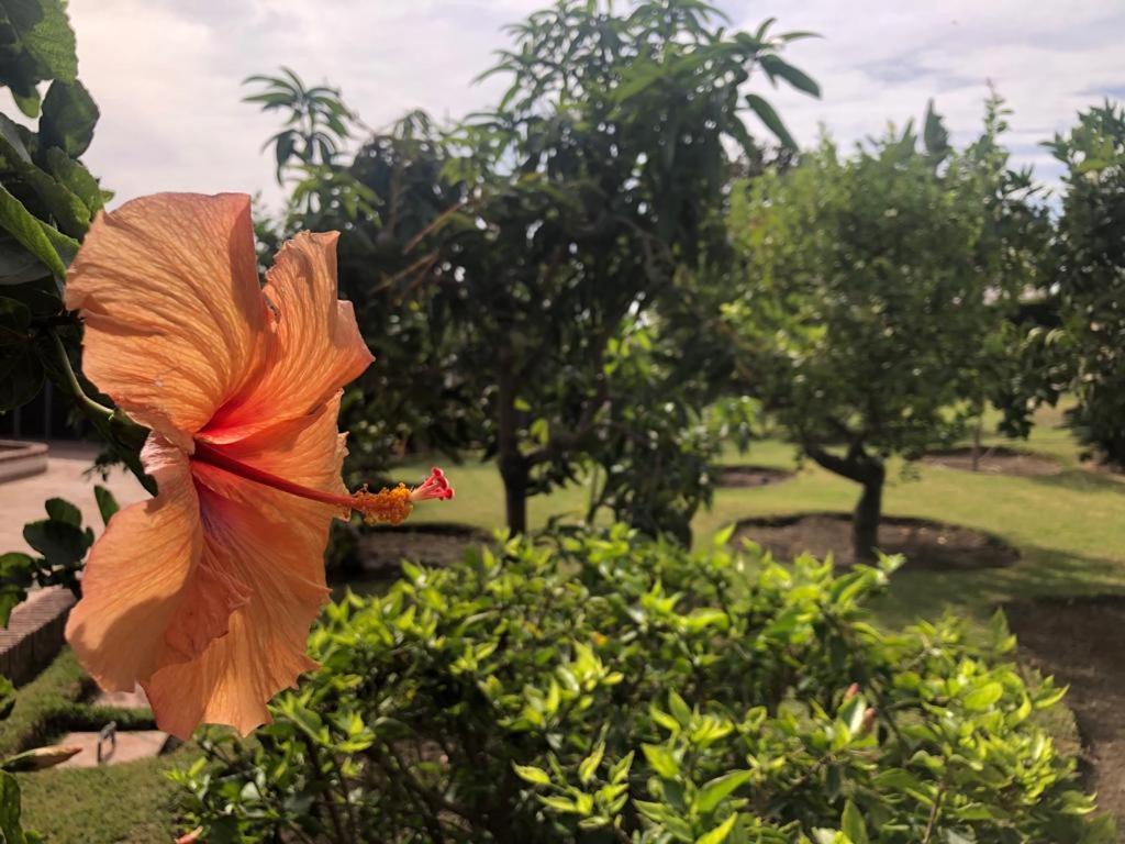 فيلا Authentic Andalucia ماربيا المظهر الخارجي الصورة